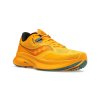 Saucony Guide 15 gold/pines 20684-30
